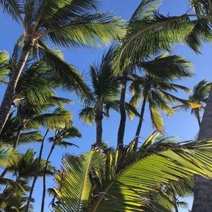 Meet your Posher, Paulina